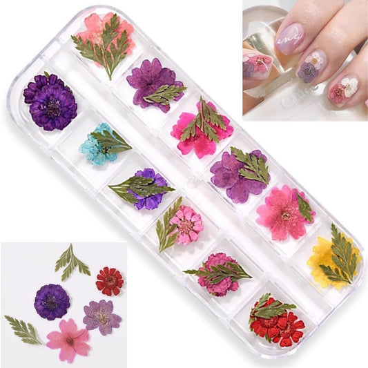 Natural pressed flower blooms for nail art, resin art