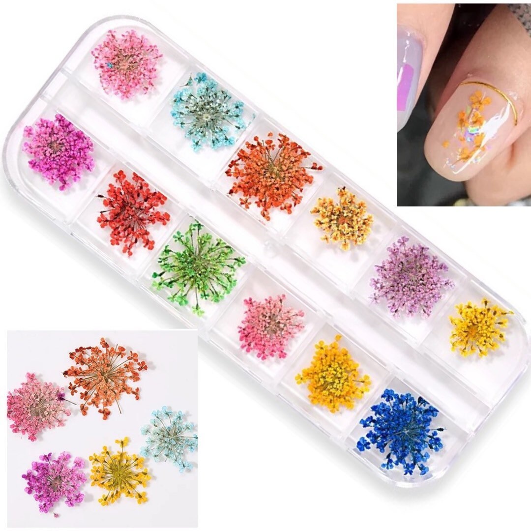 Natural pressed flower Minoan lace for nail art, resin art